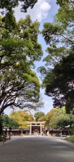 �򉻂̃T���l�C���摜