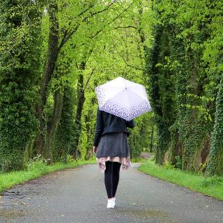 他者を当てにしない。自分を当てにする。のサムネイル画像