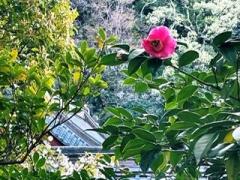 ������ނƂ��c5.30���̂̃T���l�C���摜