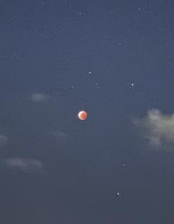 �j���̐S���̃T���l�C���摜