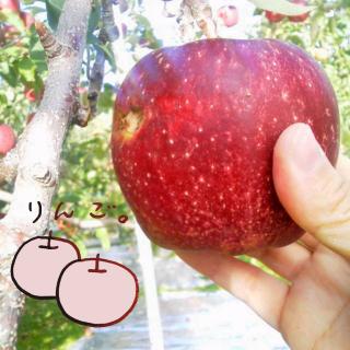 ��񂲂͑̂����߂�ʕ��̃T���l�C���摜