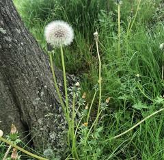 �������Ȃ�X�C�b�`�������ς��T�����I�̃T���l�C���摜