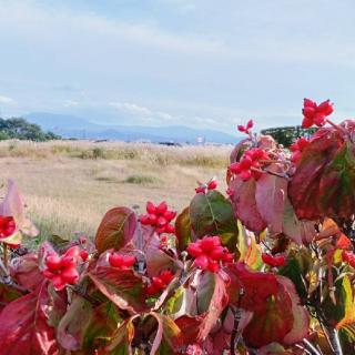 �H������A�ȒP�ɂł���G�l���M�[���[�N�̃T���l�C���摜