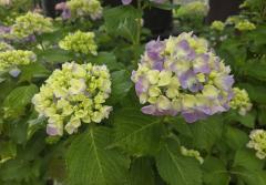 �U��24���@�����^�̃T���l�C���摜