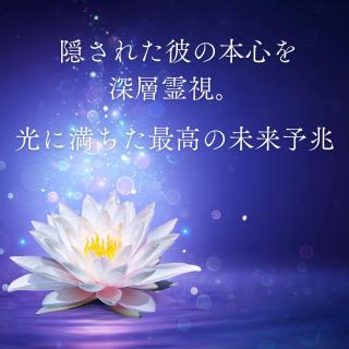 ����͂���I�����Ȃ��ނ̖{�S�Ɩ����̓����̃T���l�C���摜