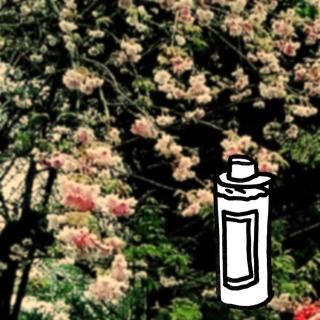 ��̃V�~�̘b�E�E�E�E( ɄD`)�̃T���l�C���摜