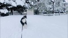 �Ⴊ�ς����Ă��Ă��܂��̃T���l�C���摜