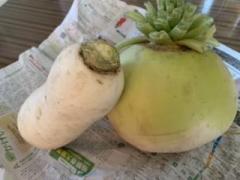 ���������Ȃ��_(//��//)�_�̃T���l�C���摜