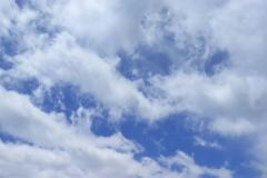 �V�C���������̉߂������E�E�E�E�H�̃T���l�C���摜