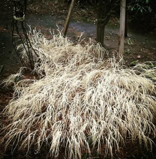 �����̔��тɂ��āB�̃T���l�C���摜