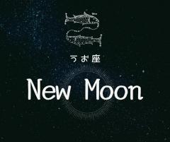 ��3��13�������̐V�����̃T���l�C���摜