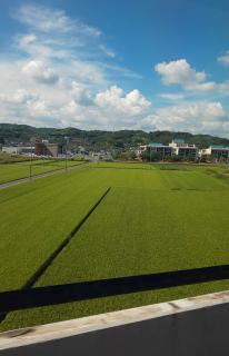 �C �z�̃T���l�C���摜