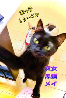 ��蒼���^�C�~���OR4.2.6.���̂̃T���l�C���摜