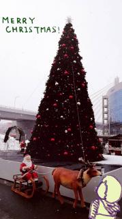 �z���C�g�N���X�}�X���̕��i�̃T���l�C���摜