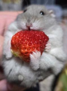 �R��24���@�^���̃T���l�C���摜