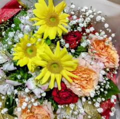 �����Ȃ��̂͂̃T���l�C���摜