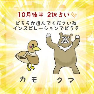 10���㔼2��肢�I�A�h�o�C�X���ǂ������̃T���l�C���摜