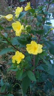 �e�̂��Ƃ̃T���l�C���摜