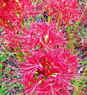 2024�N10���̃T���l�C���摜