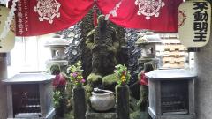 �@�P���̃T���l�C���摜