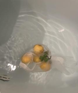 1���̏򉻂̃|�C���g���̃T���l�C���摜