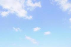 �w�����̓��LNo.20�̃T���l�C���摜