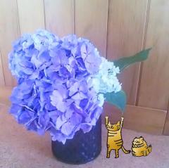 ���N�̂V���͂S�A�x�̃T���l�C���摜