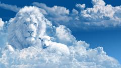 [�N������]���_�̗͂��������̃T���l�C���摜