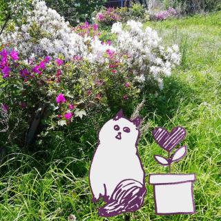 �����̂���ꏊ�ŉԂ��炩����(*�L�x`)�̃T���l�C���摜