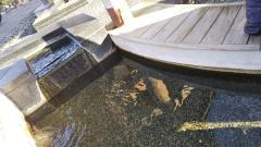 �����̃T���l�C���摜