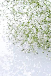 �{���ҋ@�̂��m�点�̃T���l�C���摜