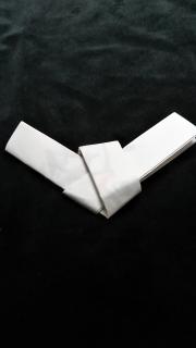 �v���C�o�V�[�͂̃T���l�C���摜