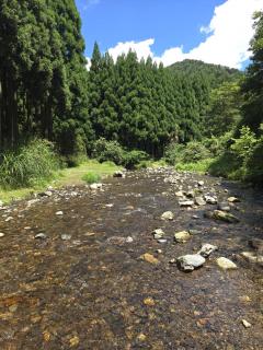 �V��22���@�^���̃T���l�C���摜