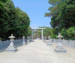 �T���̉^���̃T���l�C���摜