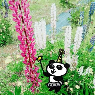 �����K���I�Ƃ����Ԃ��Ƃ΂̃T���l�C���摜