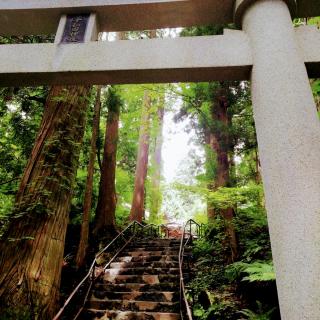 �h��͂������h �ƌn�̂��b�B�̃T���l�C���摜