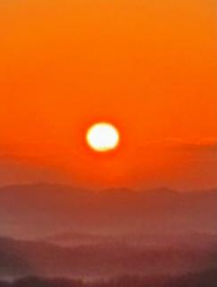 ���̎���Ɍ����ẴT���l�C���摜