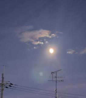 X8@^̃TlC摜