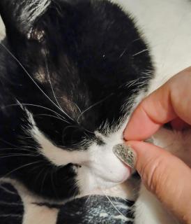 ���̏h�����̃T���l�C���摜