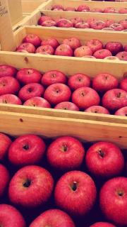 �S�̂��������v���[���g�Ƃ͂̃T���l�C���摜