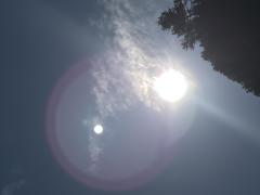 �̒��Ǘ��͑�l�̏؋��H�I�̃T���l�C���摜