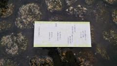 ���݂����̃T���l�C���摜