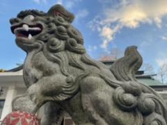 �����I�x�m�R�Ŗ����ɑ���2.23���̂̃T���l�C���摜