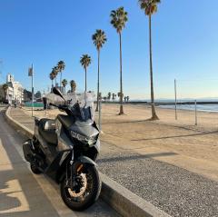 Ă܂l̖H̃TlC摜