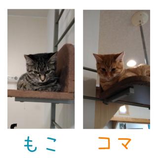 �L�肢�y10���㔼�z�̃T���l�C���摜