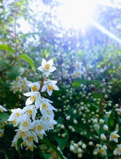 ���Ȃ��̍K�����̃T���l�C���摜