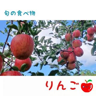 �������Ă̂�񂲂���C�����������B�̃T���l�C���摜