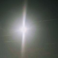 ����̃t�����[���[���p���[�̃T���l�C���摜