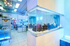 �_�l����̃��b�Z�[�W�̃T���l�C���摜