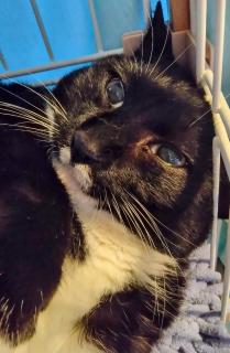 8�O�����̑z���̃T���l�C���摜